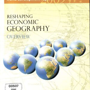 Reshaping Economic Geography Overview