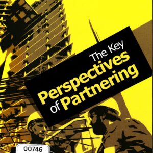 The key perspectives of partnering