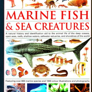 The Complete Illustrated World Guide to Marine Fish & Sea Creatures