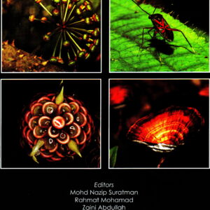 Kuala Keniam: nature's treasure trove in the heartland